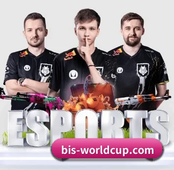 开云 APP 界面 | Kaiyun Esports
